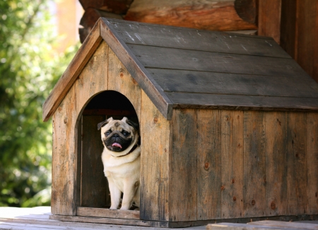 Renting out part of your home's photo