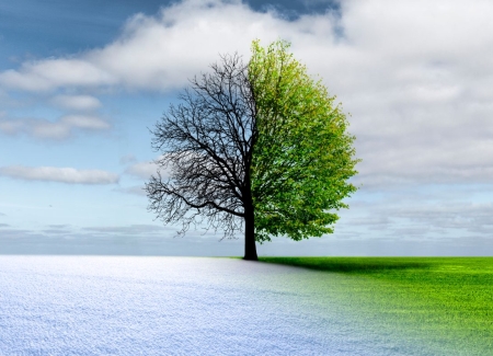 Transitioning to retirement's photo