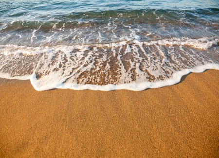 2022 Election Washup's photo